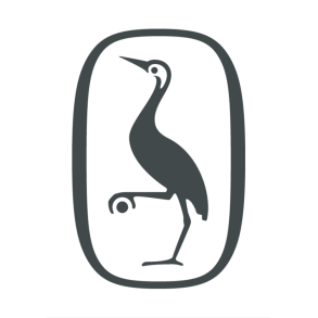 Viggo Vampyr vender tilbage 