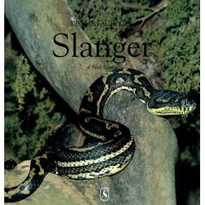 Slanger 