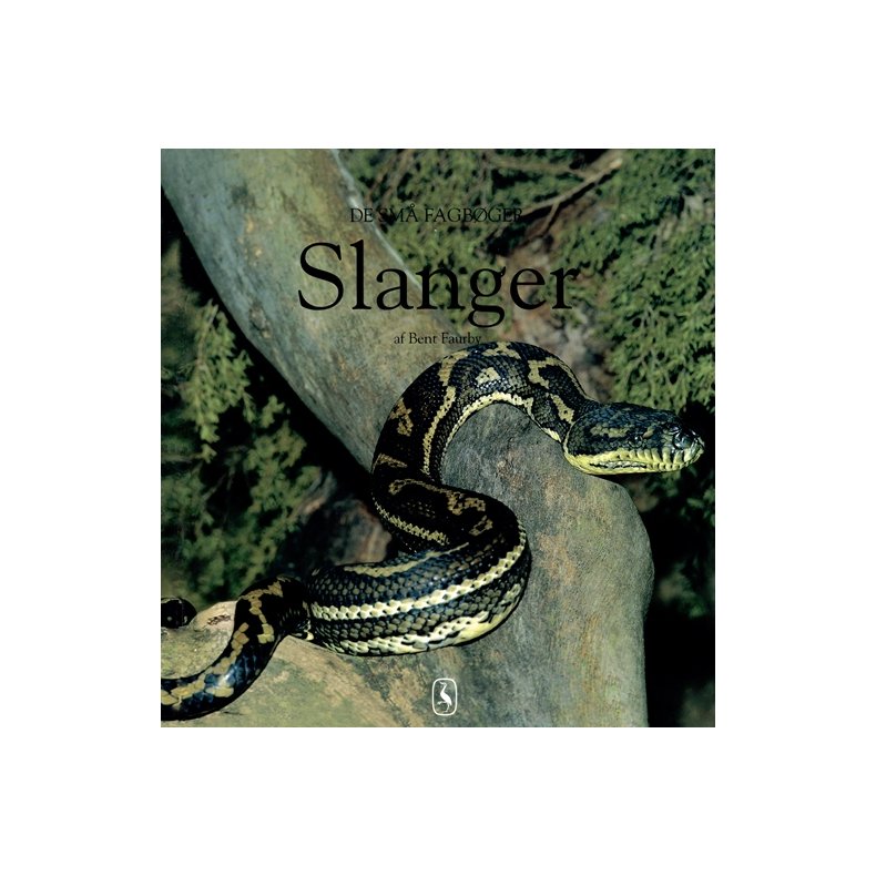 Slanger 