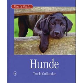 Hunde 