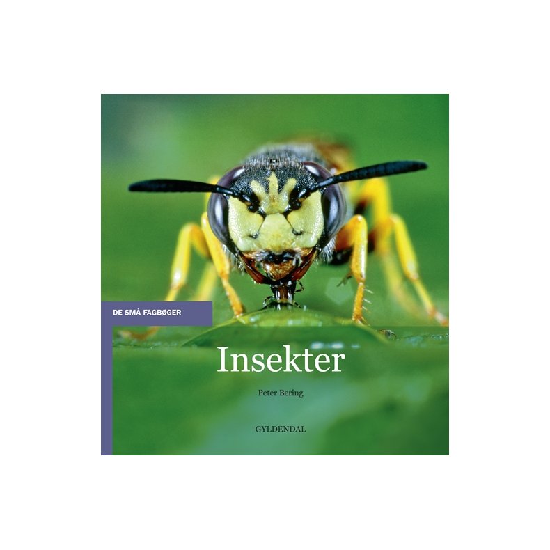 Insekter 