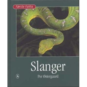 Slanger 