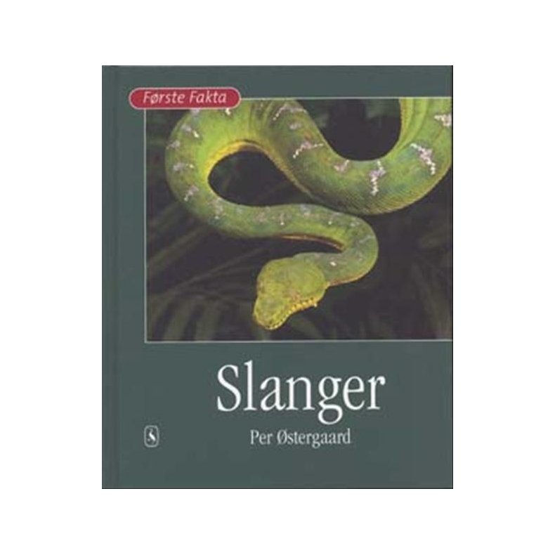 Slanger 