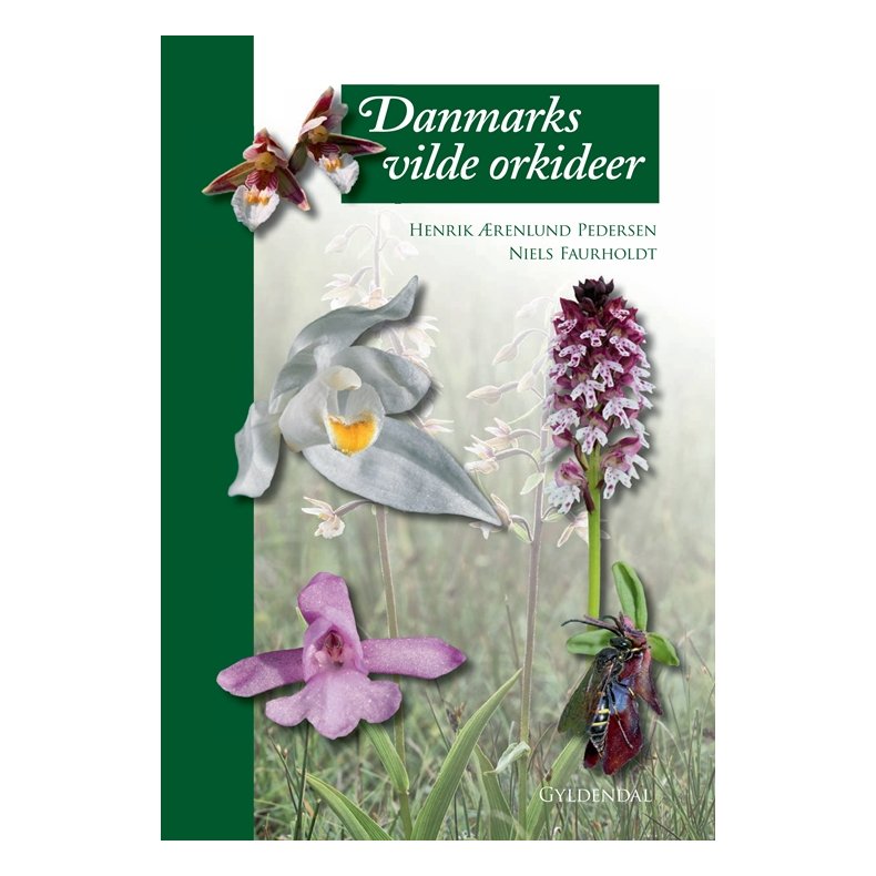 Danmarks vilde orkideer 