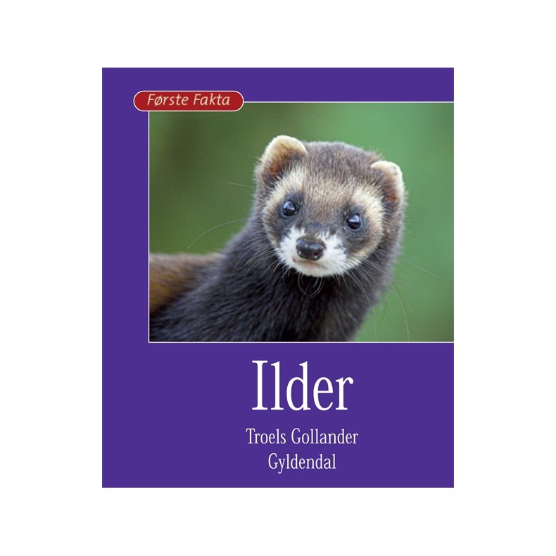 Ilder 