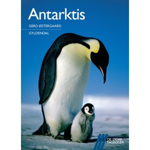 Antarktis 