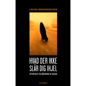 Hvad der ikke slr dig ihjel reportager fra Kbenhavn og Bagdad