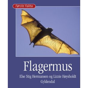 Flagermus 