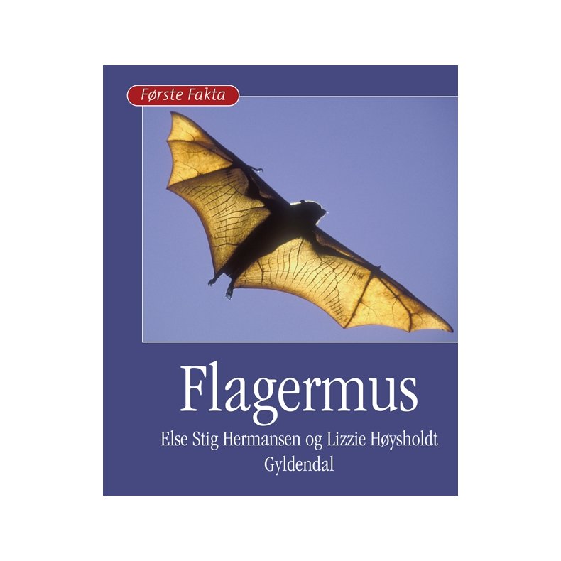 Flagermus 