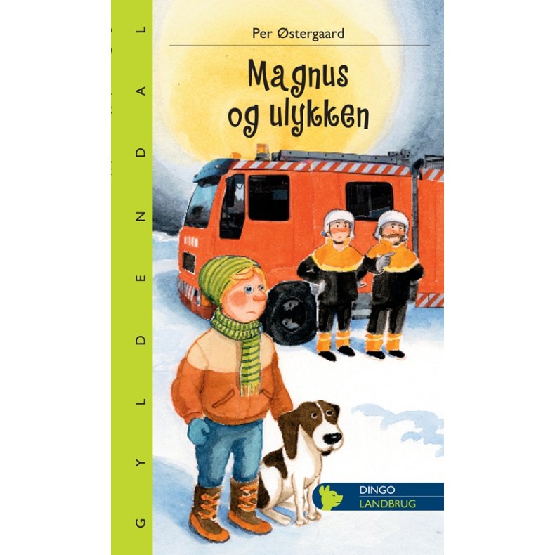 Magnus og ulykken 