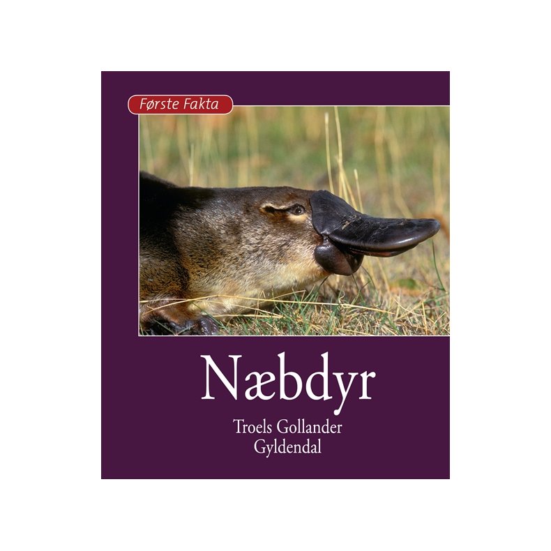 Nbdyr 