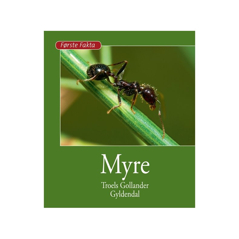 Myre 