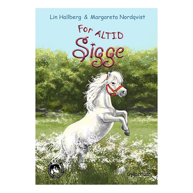 RAP-klubben 11 - For altid, Sigge 