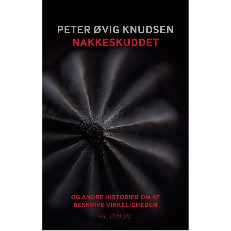 Nakkeskuddet og andre historier om at beskrive virkeligheden