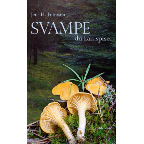 Svampe - du kan spise 