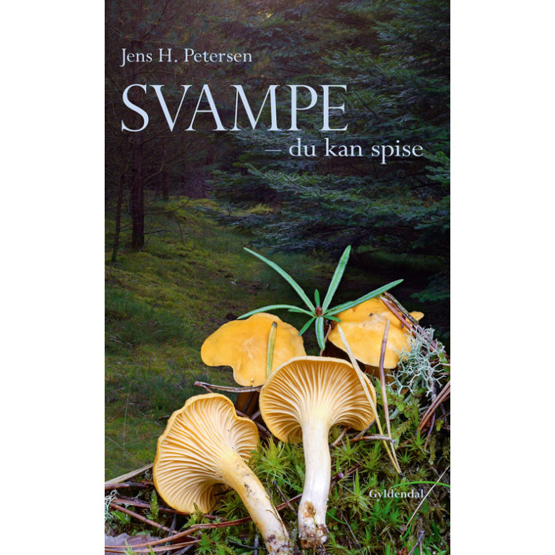 Svampe - du kan spise 