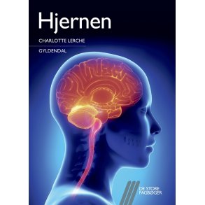 Hjernen 