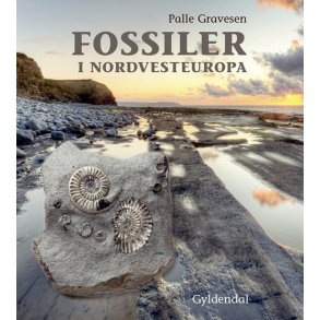 Fossiler i Nordvesteuropa 
