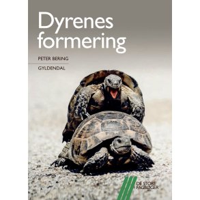 Dyrenes formering 