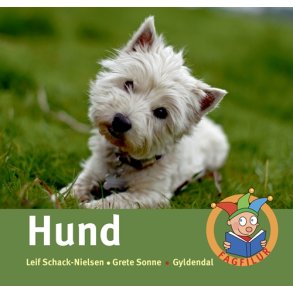 Hund 