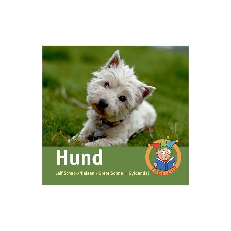 Hund 