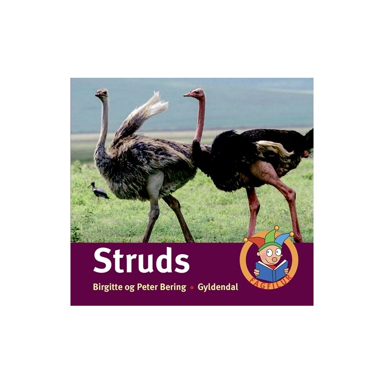 Struds 