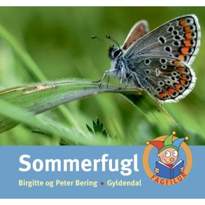 Sommerfugl 