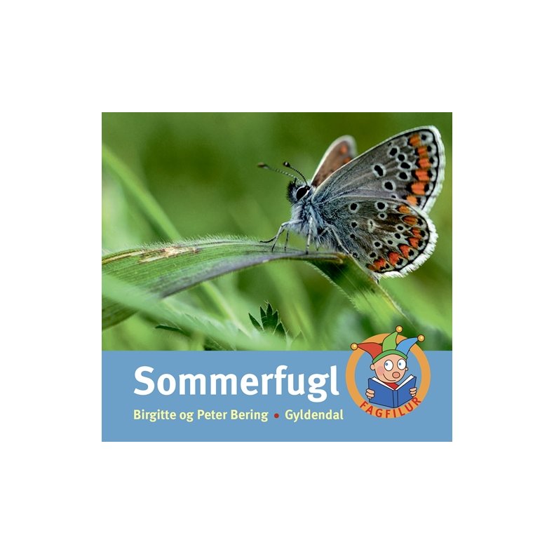 Sommerfugl 
