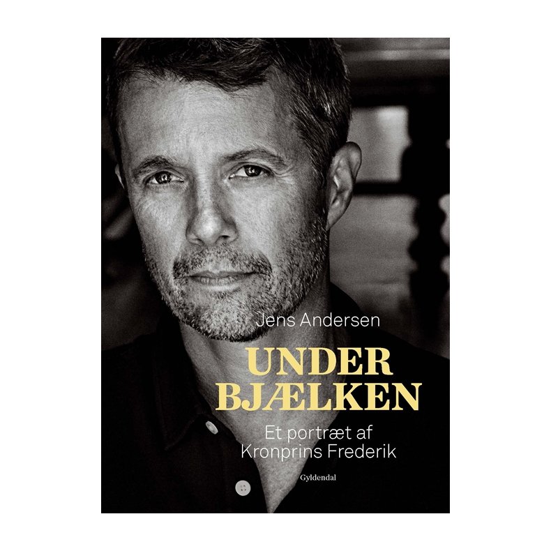 Under bjlken Et portrt af Kronprins Frederik