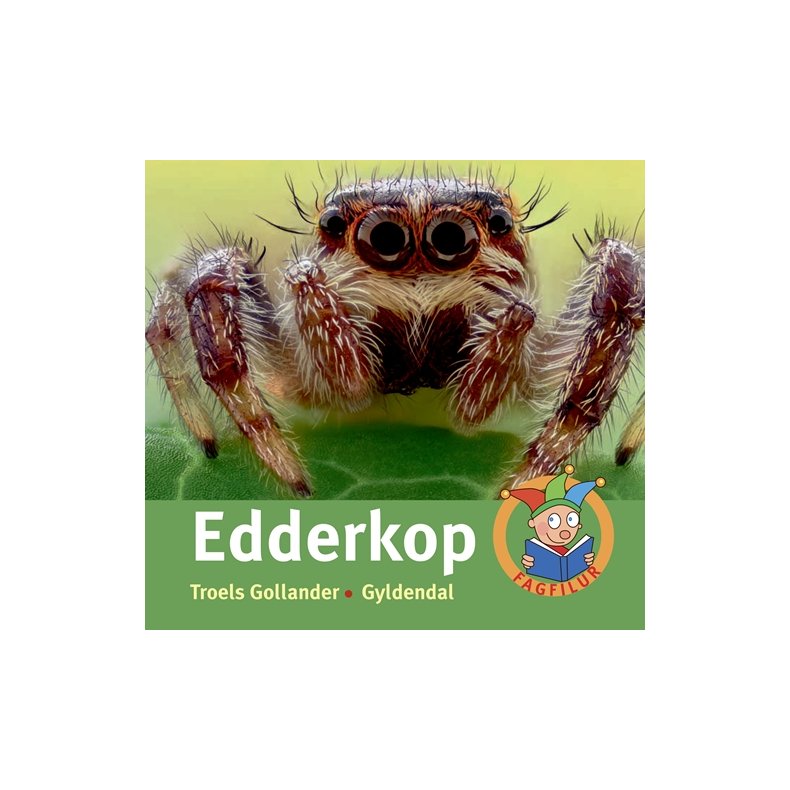 Edderkop 