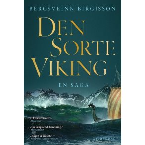 Den sorte viking En saga