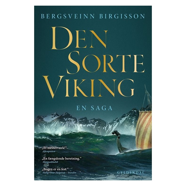 Den sorte viking En saga
