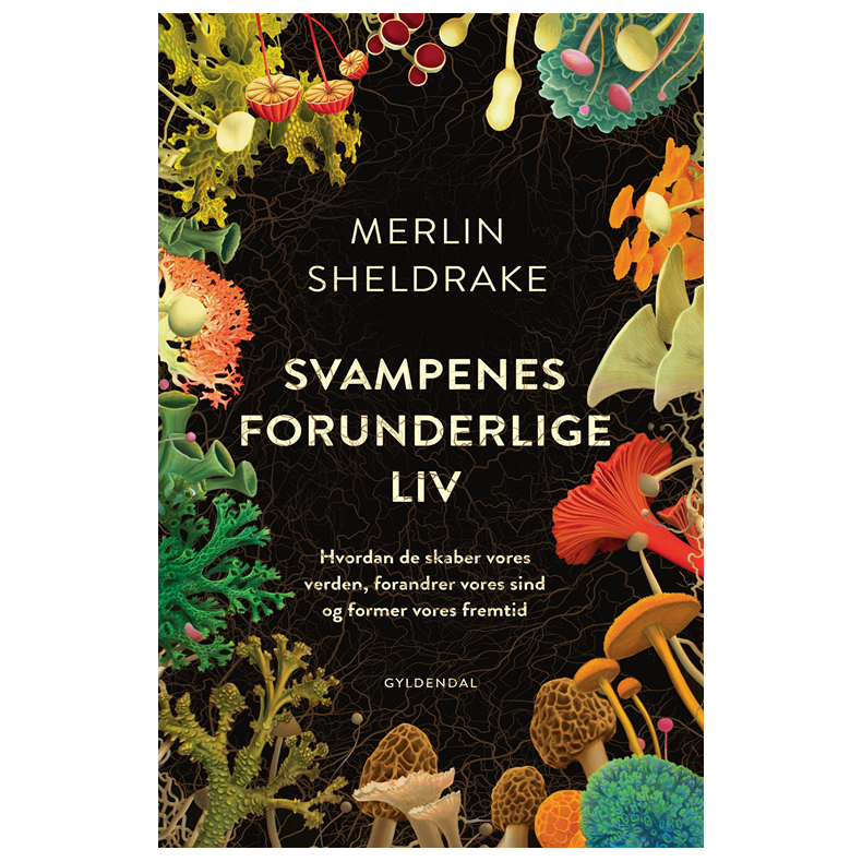 Svampenes forunderlige liv Hvordan de skaber vores verden, forandrer vores sind og former vores fremtid