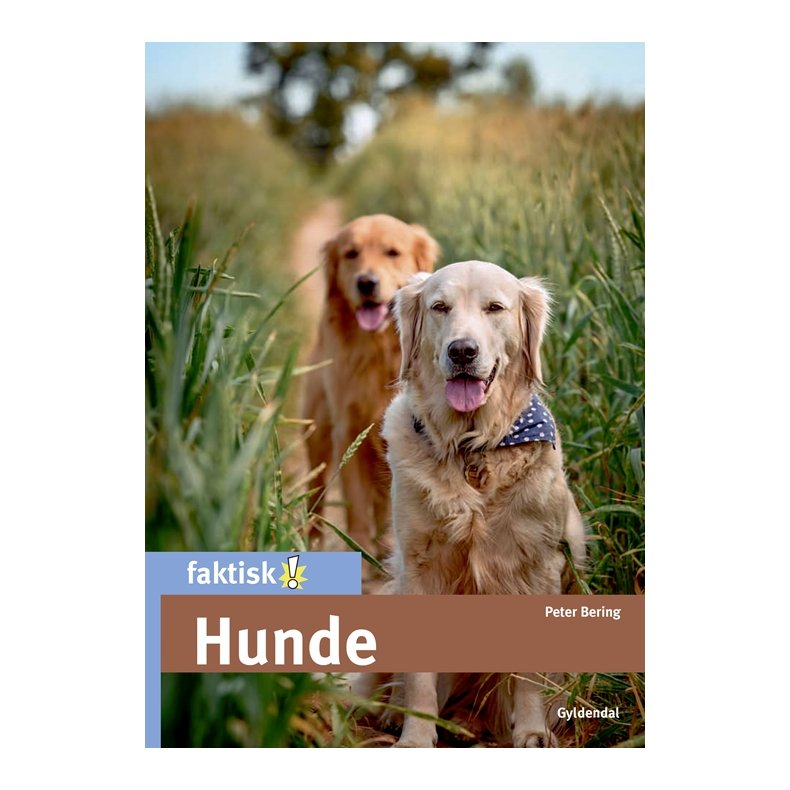 Hunde 