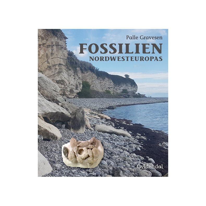 Fossilien Nordwesteuropas Tysk udgave