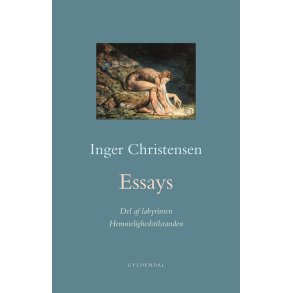 Essays. Hemmelighedstilstanden / Del af labyrinten 