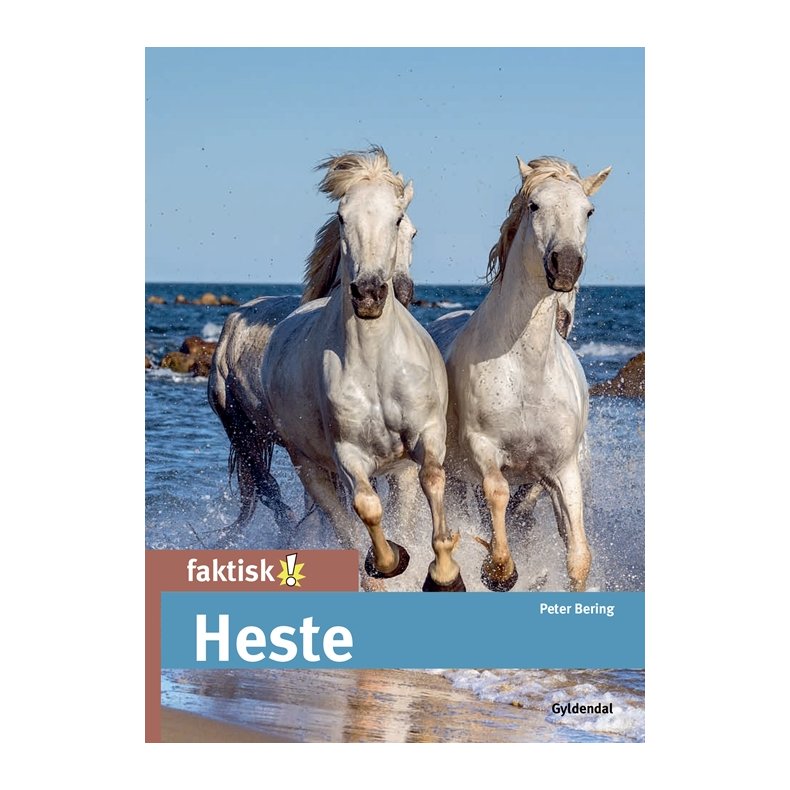 Heste 