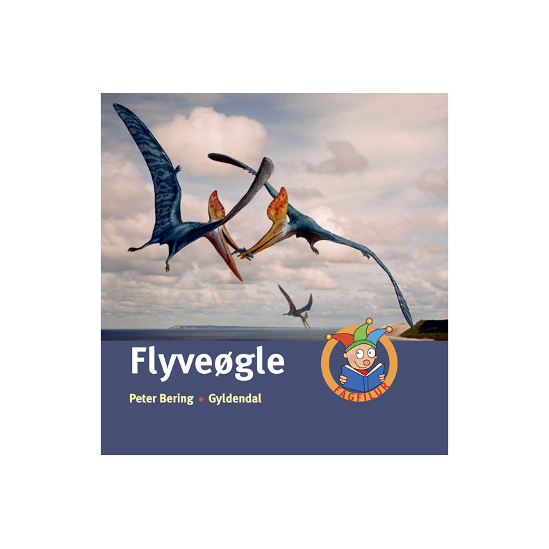 Flyvegle 