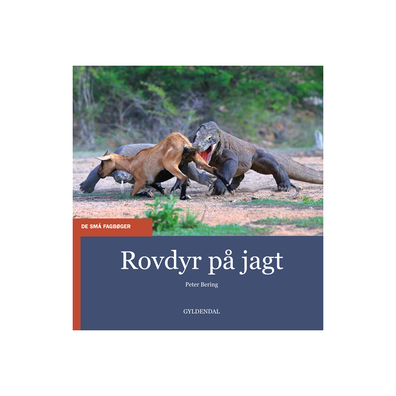 Rovdyr p jagt 