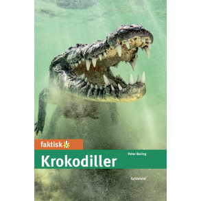Krokodiller 