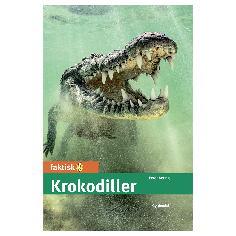Krokodiller 
