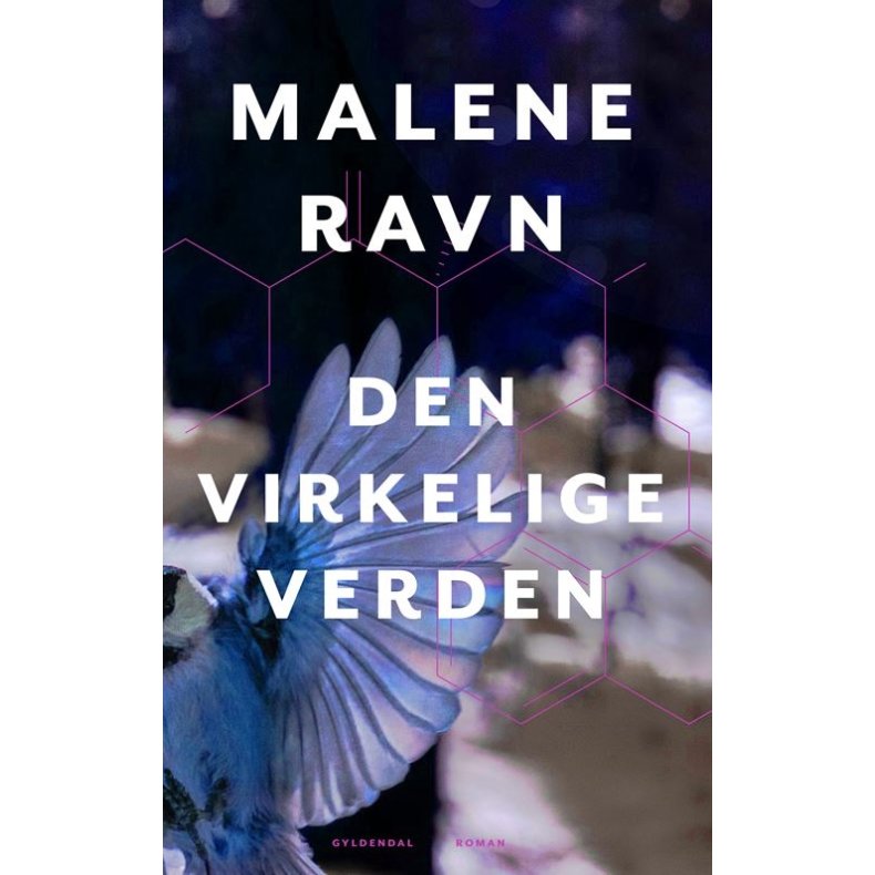 Den virkelige verden 