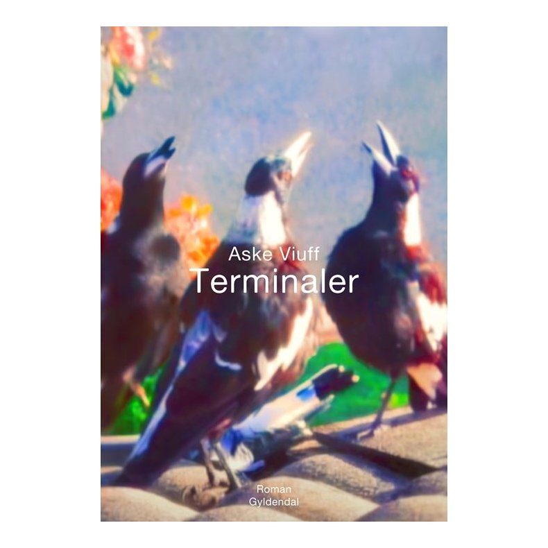 Terminaler 