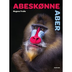 Abesknne aber 
