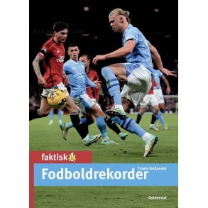 Fodboldrekorder 