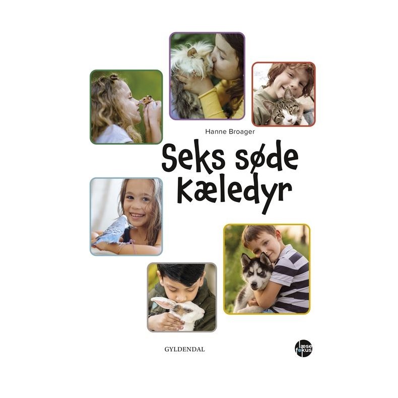 Seks sde kledyr 