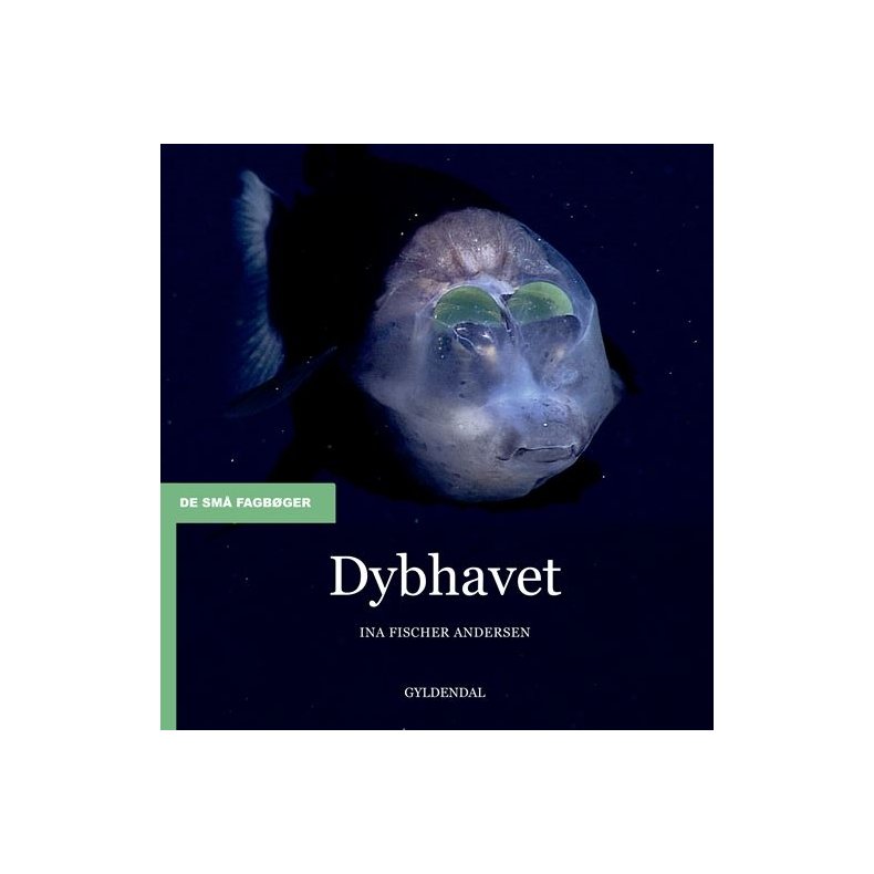 Dybhavet 