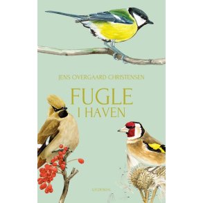 Fugle i haven 