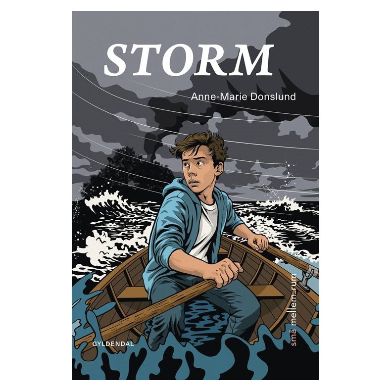 sm mellem_rum. Storm 