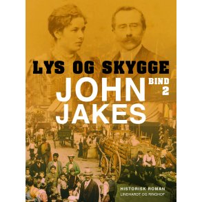 Lys & skygge - Bind 2 
